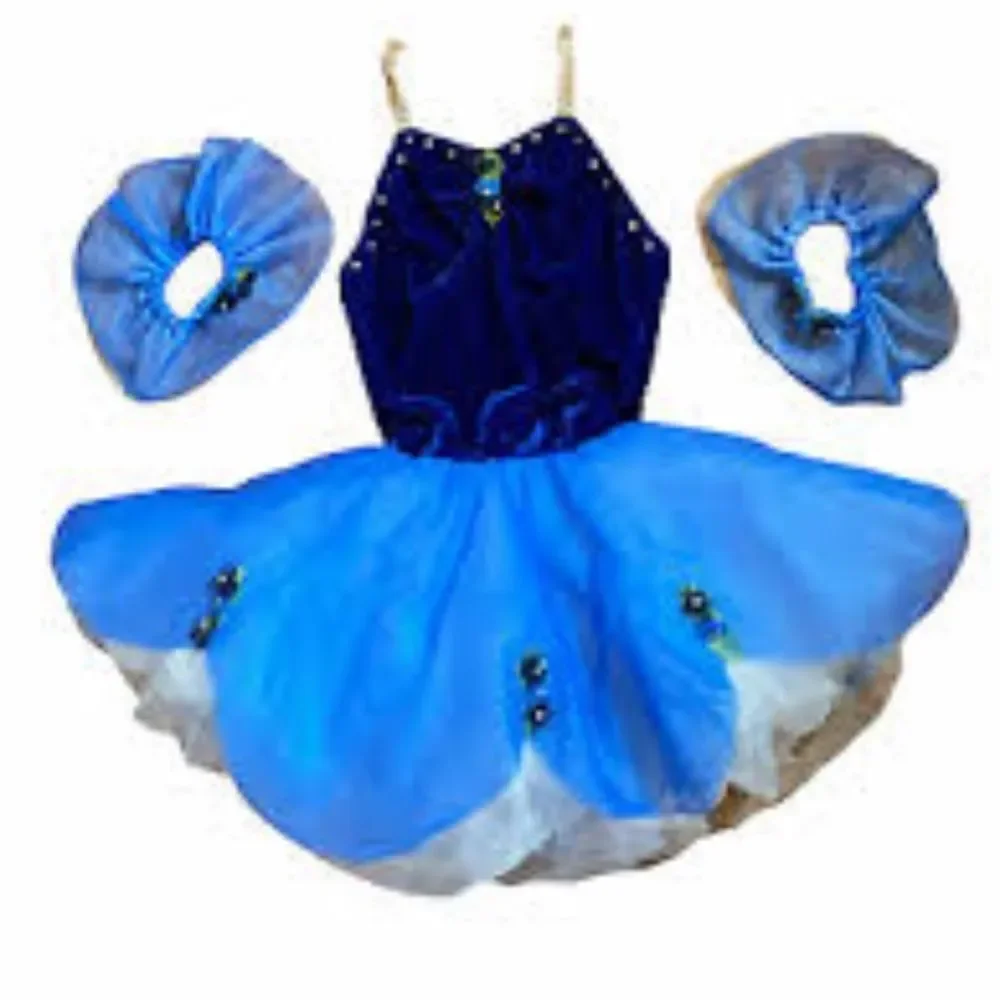 Gorgeous DANCE COSTUME Blue White Child's Ballet Tutu Pretty Flowers